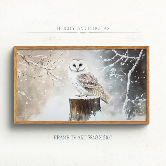 Barn Owl Snowy Branch Watercolor Winter Wildlife Animal Portrait Poster