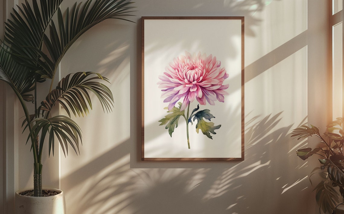 Pink Chrysanthemum Bloom Watercolour Botanical Flower Poster - Image 5