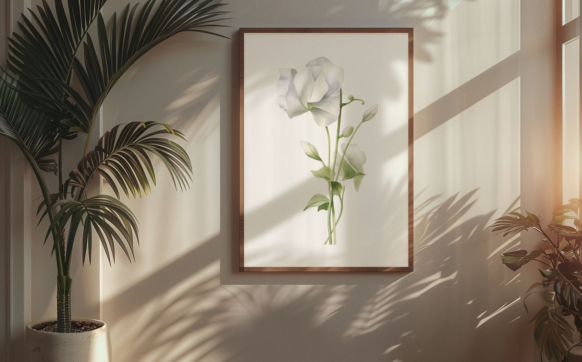 White Sweet Pea Budding Stem Watercolour Botanical Flower Poster - Image 7