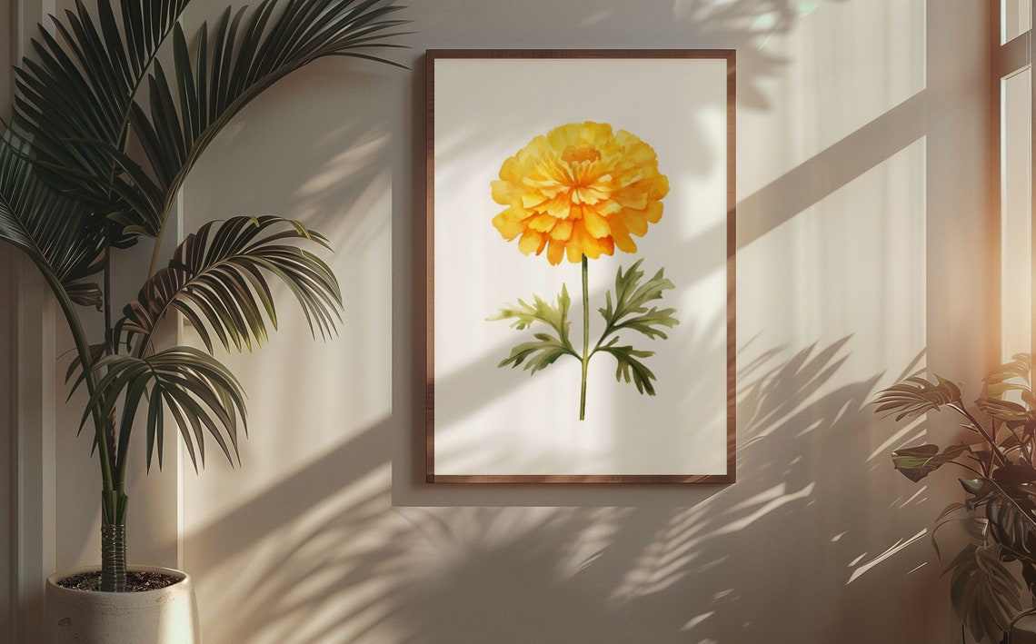 Yellow Marigold Pompon Bloom Watercolour Botanical Flower Poster - Image 5