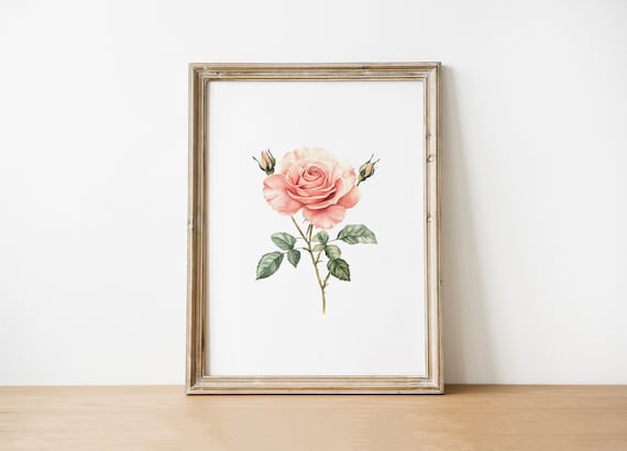 Vintage Pink Rose Print Flower Artwork Botanical Illustration Wall Art Floral Decor Instant