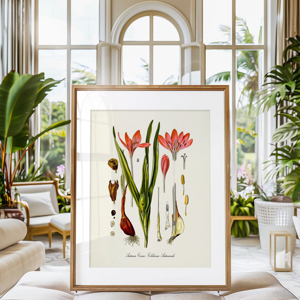 Autumn Crocus Botanical Art Print, Kitchen Wall Art - Image 3