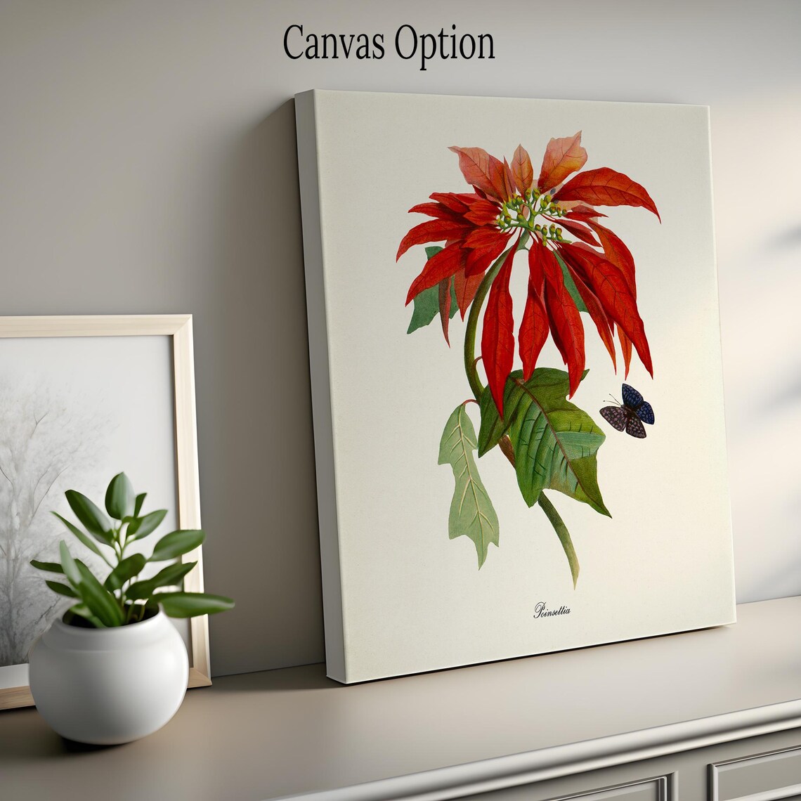 Poinsettia Flower Botanical Art Print, Christmas - Image 2