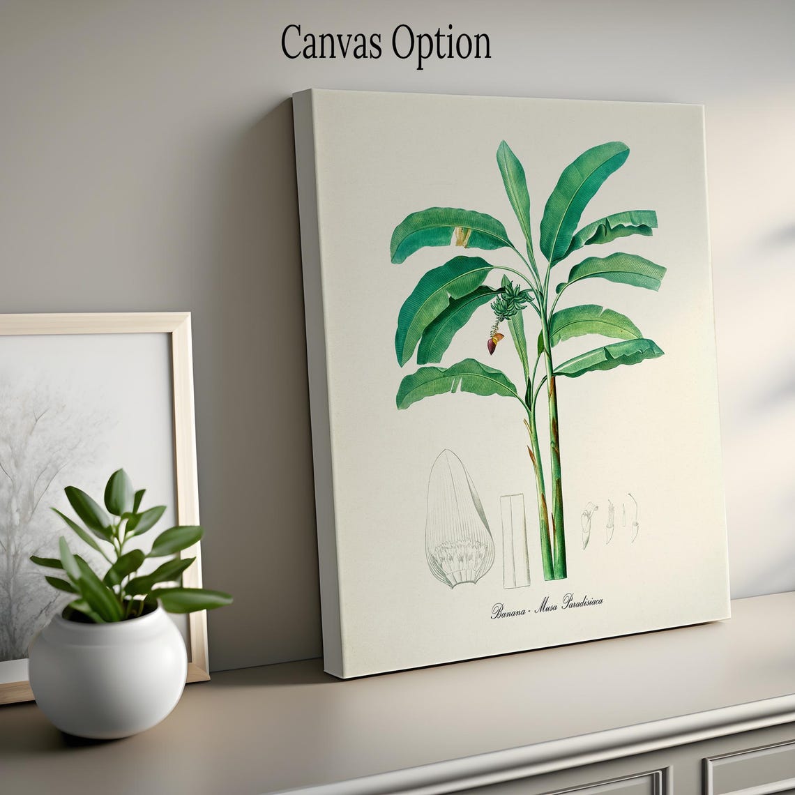 Banana Musa Paradisiaca Botanical Print with Tropical Palm Leaves - Image 2