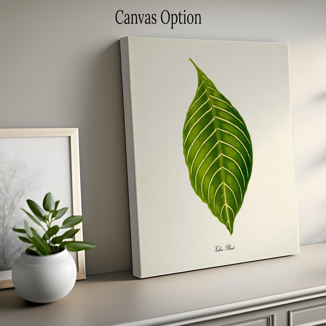 Zebra Plant Leaf Vintage Botanical Illustration Green Foliage Poster - Image 2