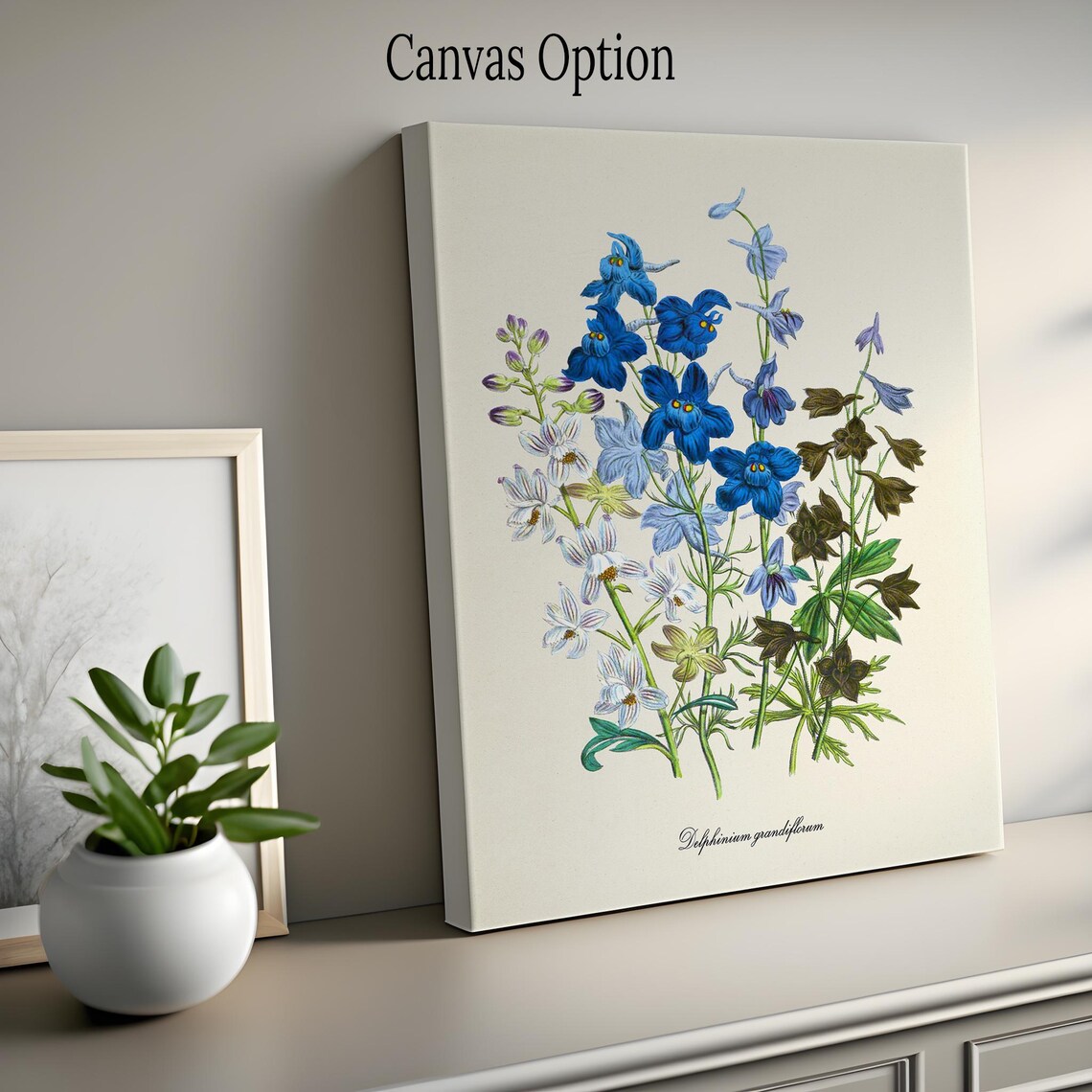 Siberian Larkspur, Delphinium Grandiflorum Art Print - Image 2