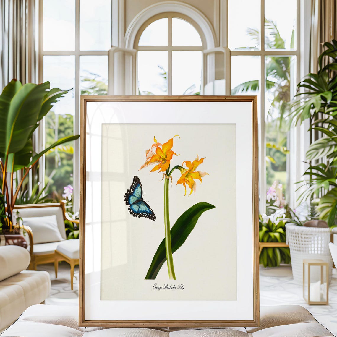 Orange Barbados Lily Flower Art Print Botanical Art Print Flower Wall Art Flower Print Floral Print Lily Art Print Butterfly Orange - Image 3