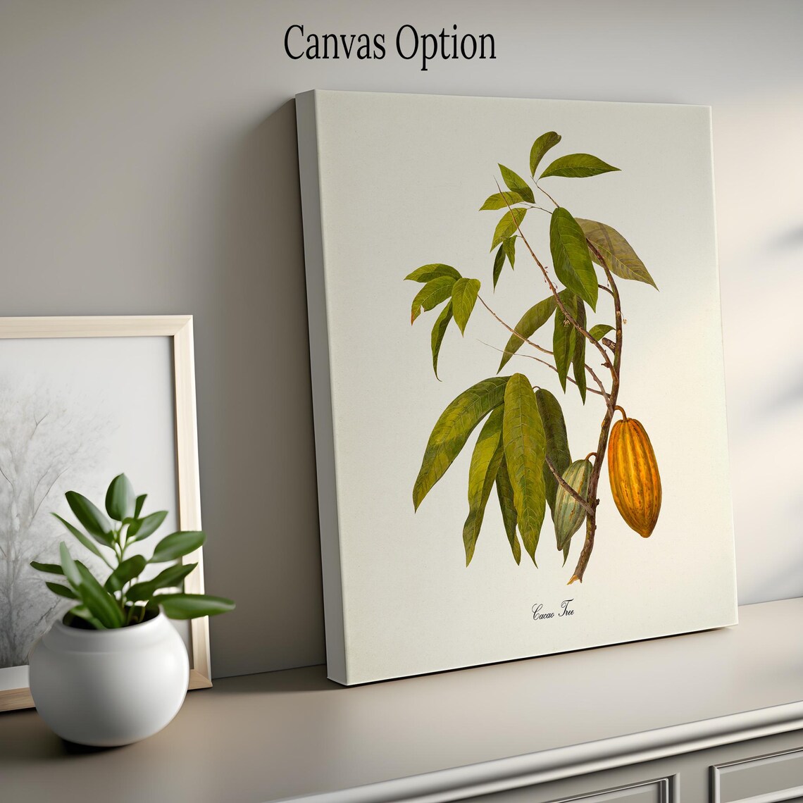 Cacao Tree Botanical Art Print, Cocoa Tree Study - Image 2