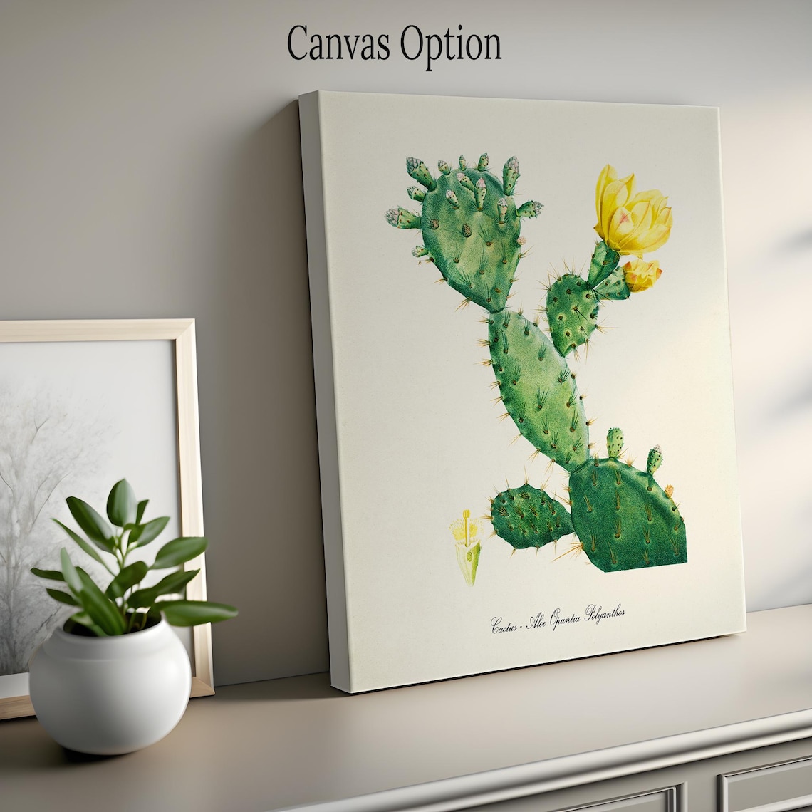 Cactus Botanical Art Print, Aloe Opuntia Polyanthos - Image 2