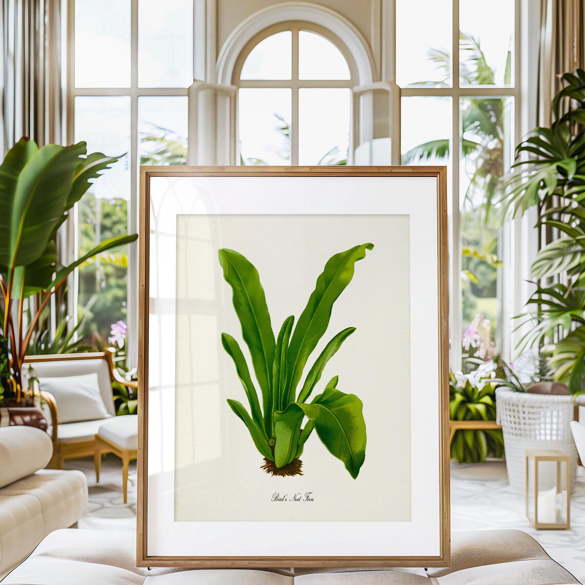 Birds Nest Fern Art Print, Botanical Wall Art - Image 3