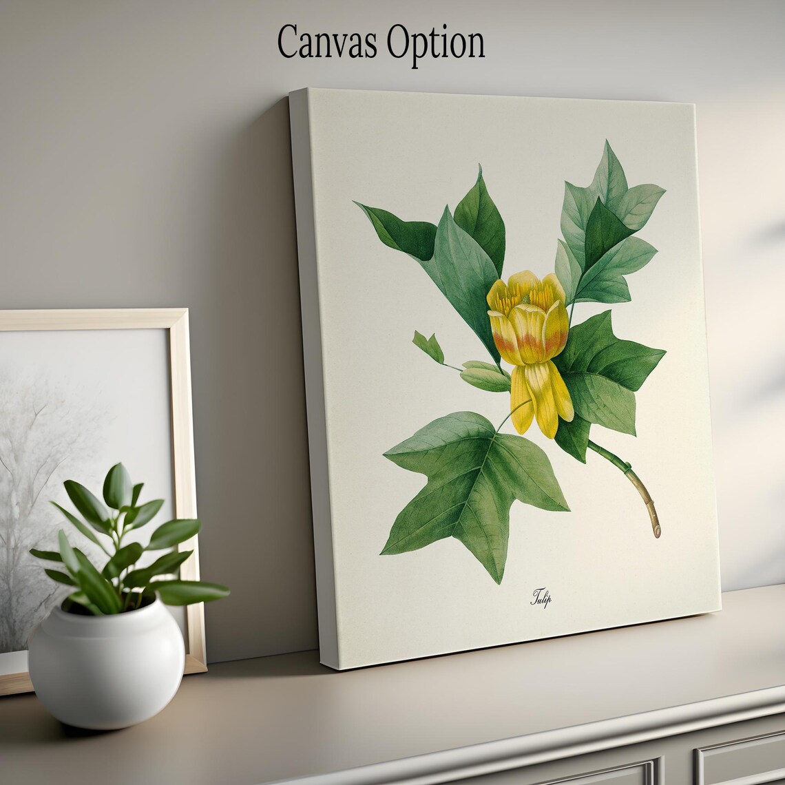 Redoute-Inspired Tulip Flower Botanical Art Print - Image 2
