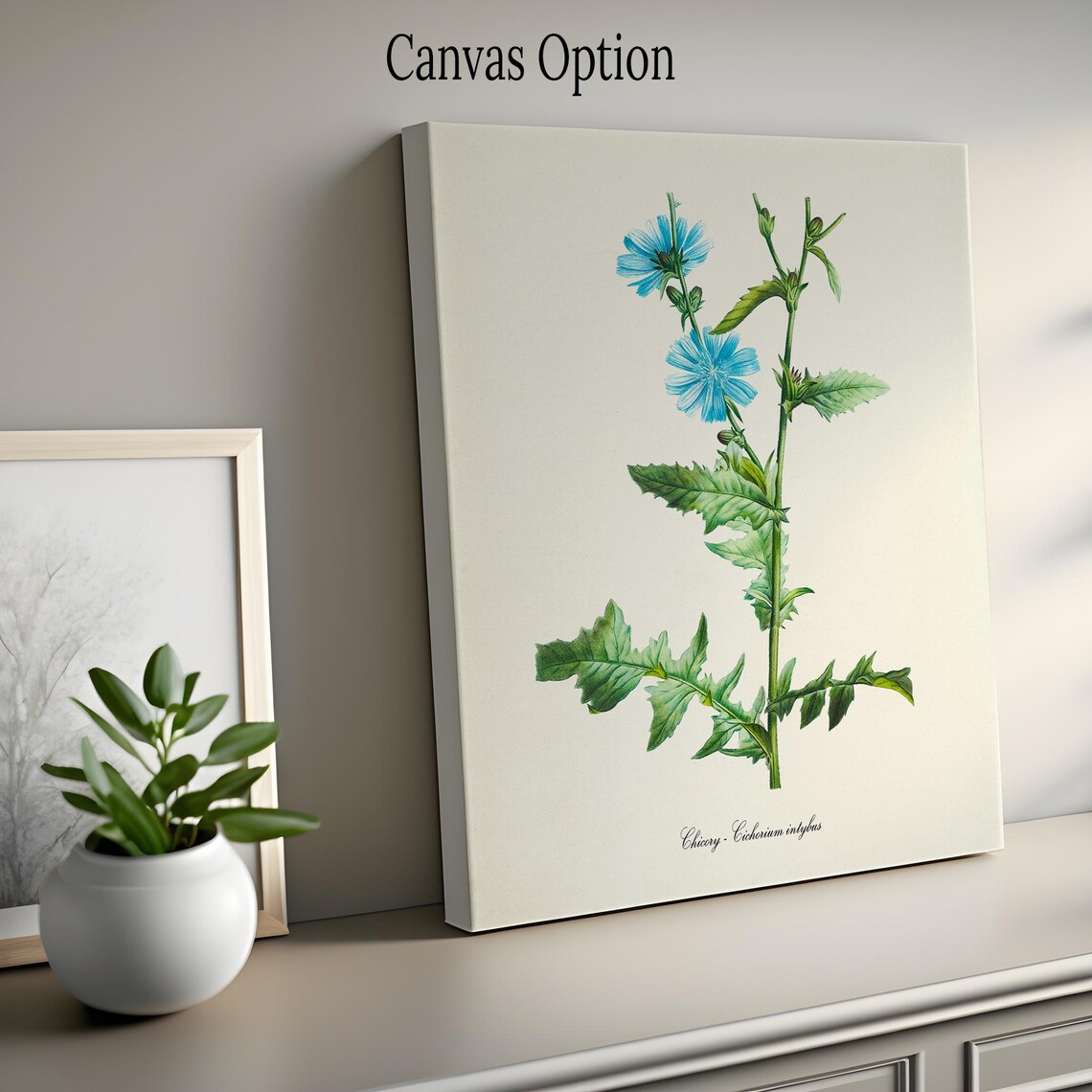 Chicory Flower Botanical Art Print, Blue Cichorium - Image 2