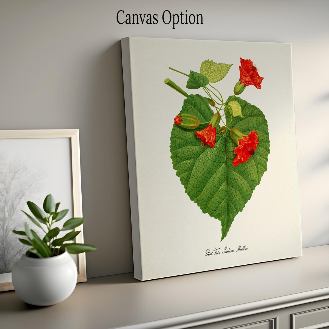 Red Vein Indian Mallow, Chinese Lantern Art Print - Image 2