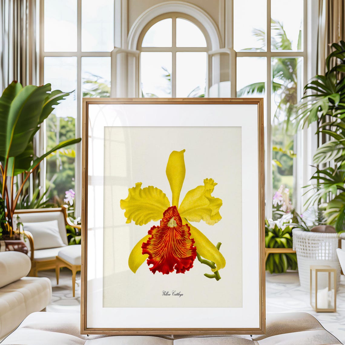 Golden Yellow Cattleya Orchid Crimson Lip Vintage Botanical Poster - Image 3