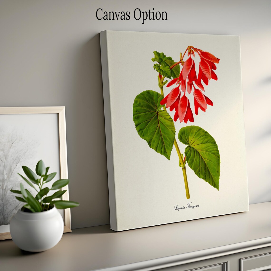 Begonia Ferruginea Botanical Art Print, Floral Wall Art - Image 2