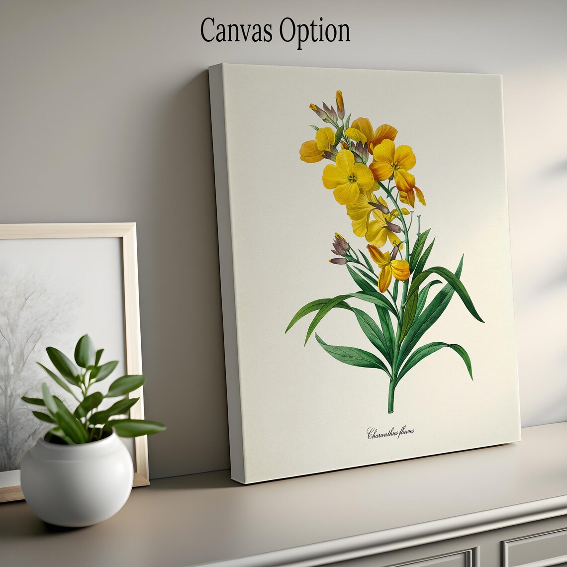 Charanthus Flavus, Redoute-Inspired Art Print - Image 2