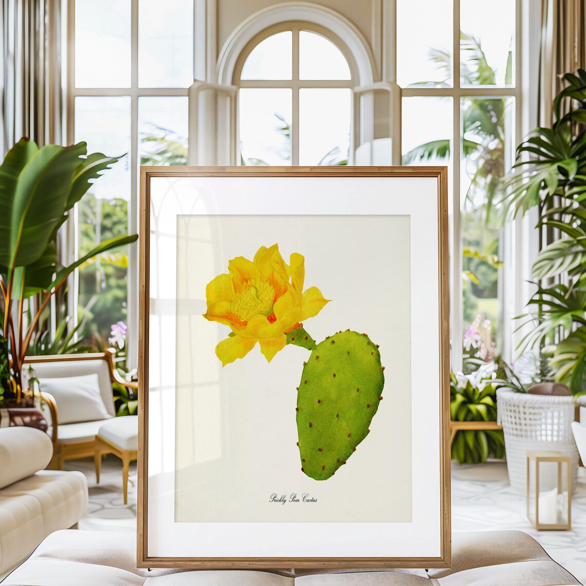 Prickly Pear Cactus Botanical Art Poster - Image 3