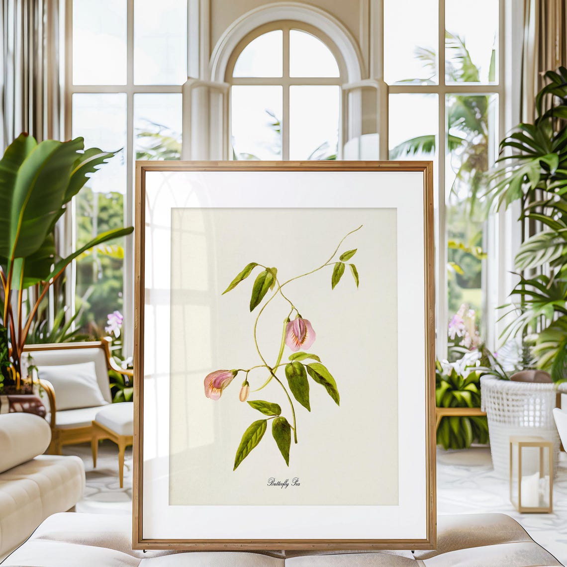 Butterfly Pea Flower Art Print Botanical Art Print Flower Wall Art Flower Print Floral Print Pink Flower - Image 3
