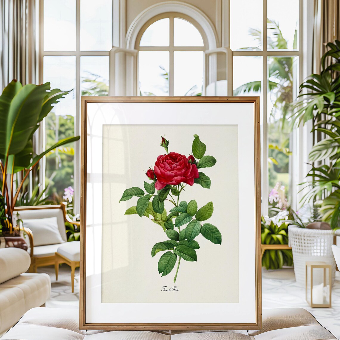 French Rose Botanical Art Print, Floral Wall Decor - Image 3