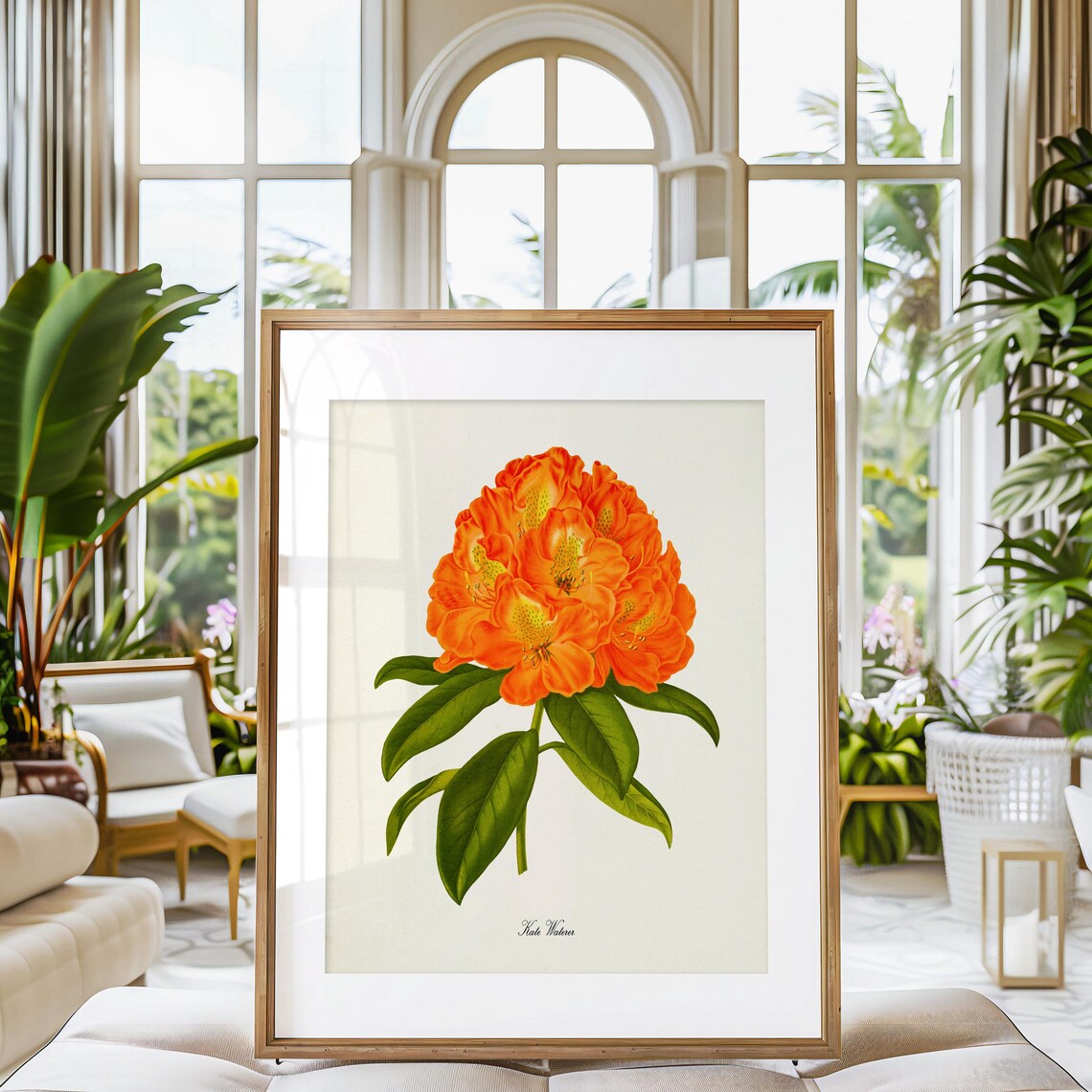 Kate Waterer Rhododendron Botanical Art Print - Image 3