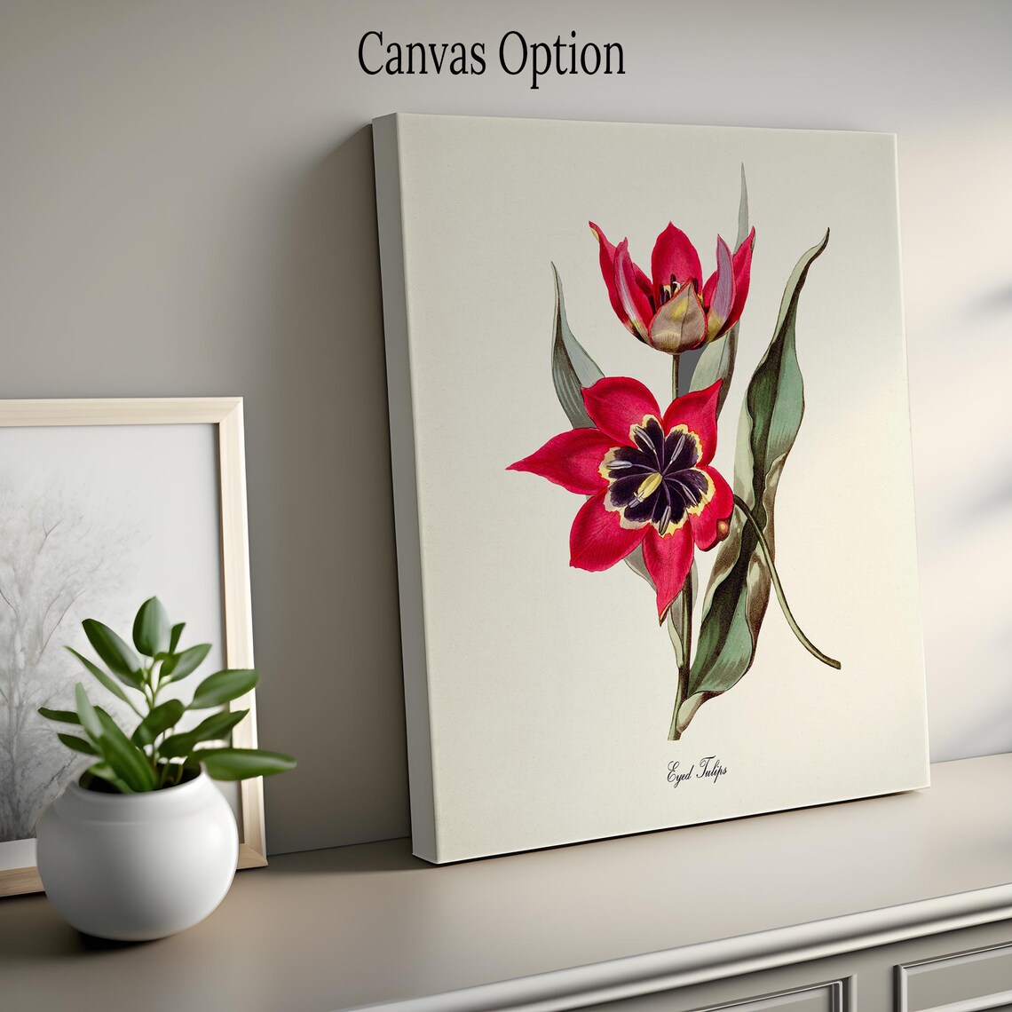 Eyed Tulip Flower Art Print, Red Botanical Print - Image 2
