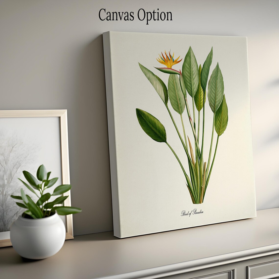 Bird Of Paradise Flower Botanical Art Print - Image 2