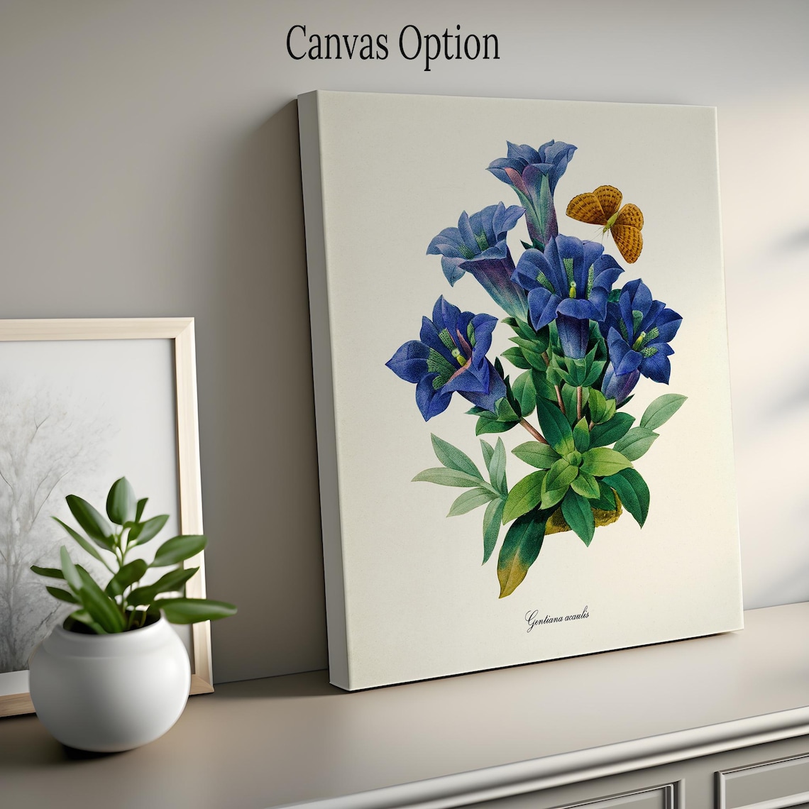 Stemless Gentian and Butterfly Botanical Art Print, Redoute - Image 2