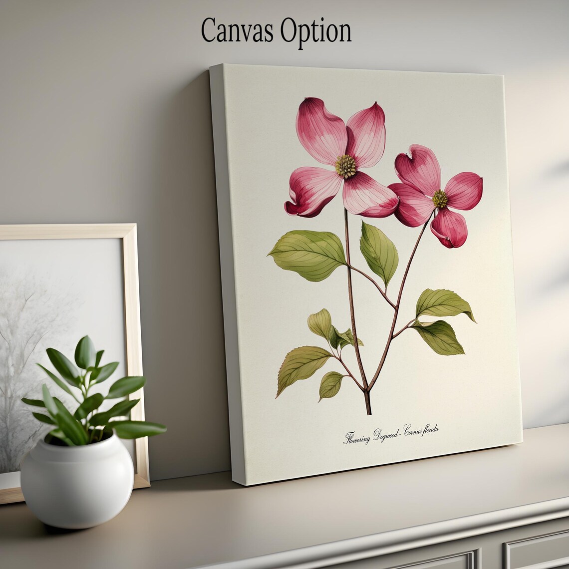 Pink Dogwood Flower Botanical Art Print, Cornus Florida - Image 2