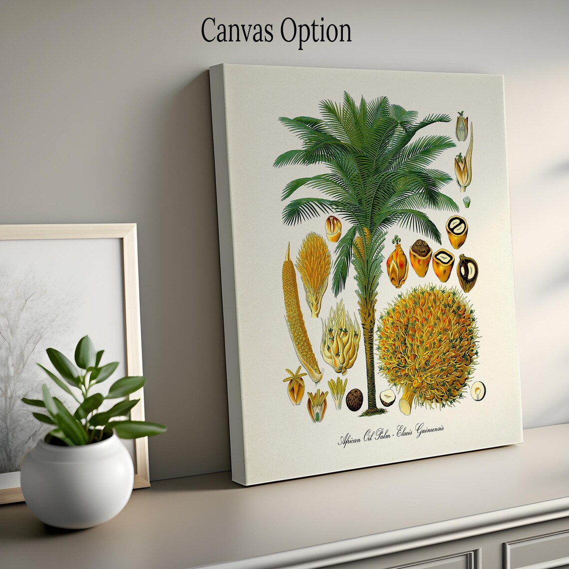 African Oil Palm Tree Botanical Poster Print, Elaeis - Image 2