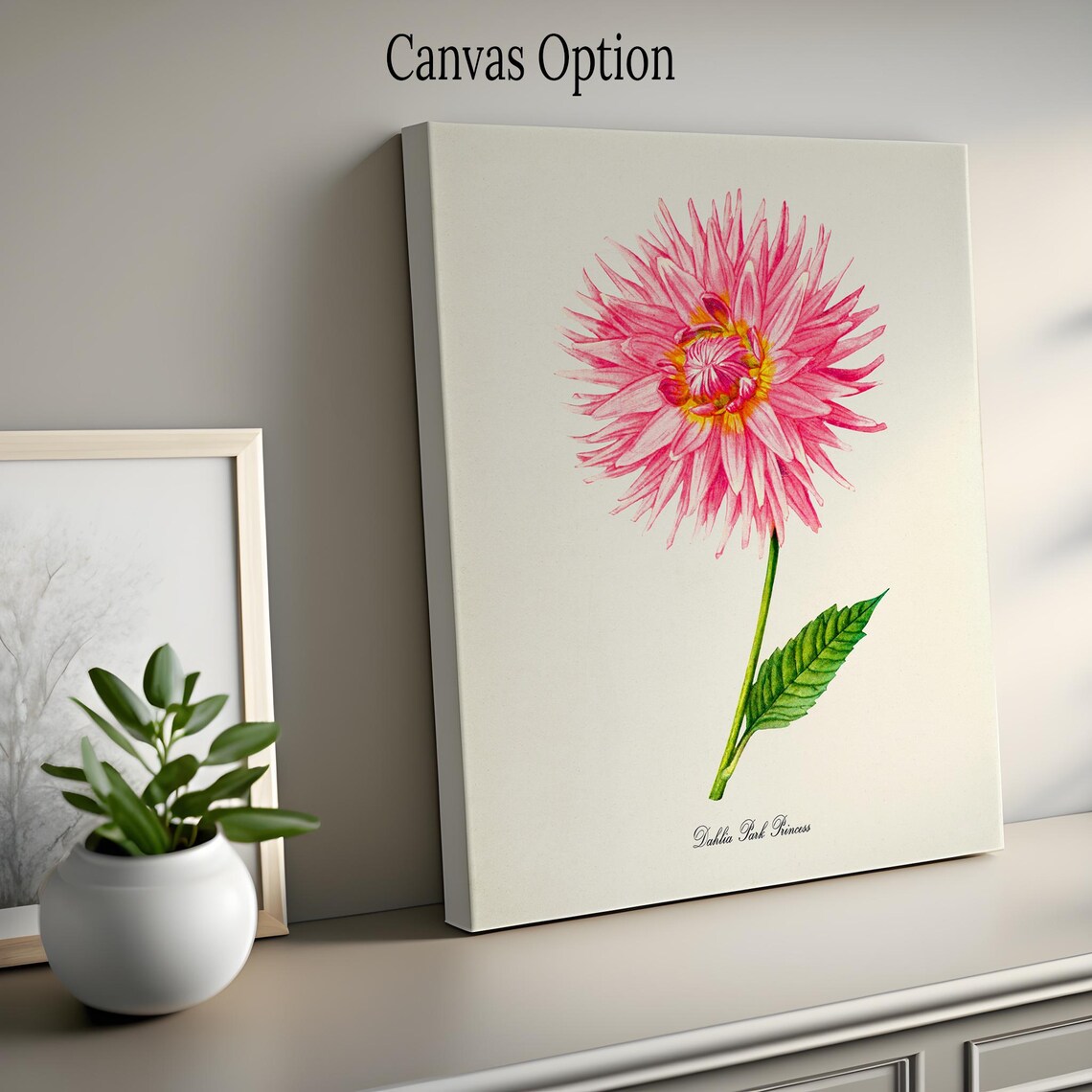 Dahlia Park Princess Flower Botanical Art Print - Image 2