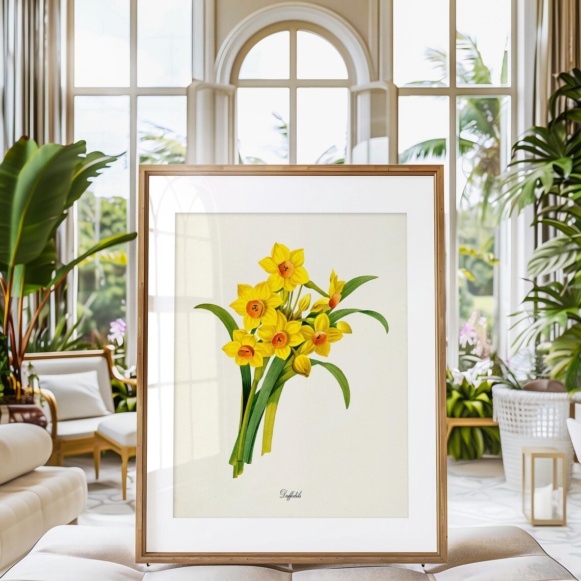 Daffodil Botanical Art Print, Floral Wall Art - Image 3