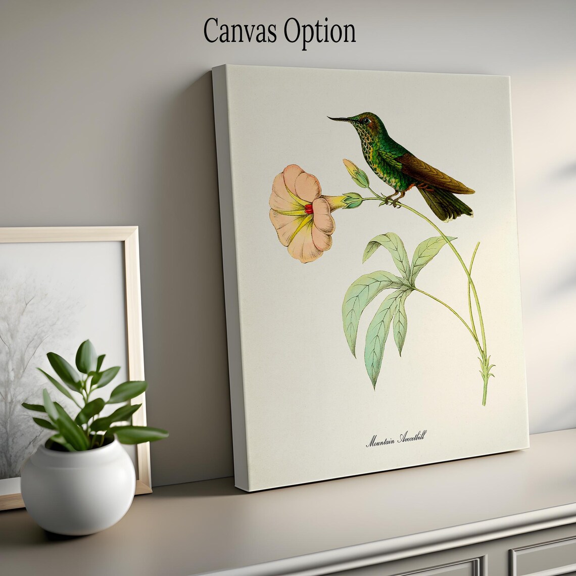 Mountain Avocetbill Hummingbird, Floral Garden Art Print - Image 2