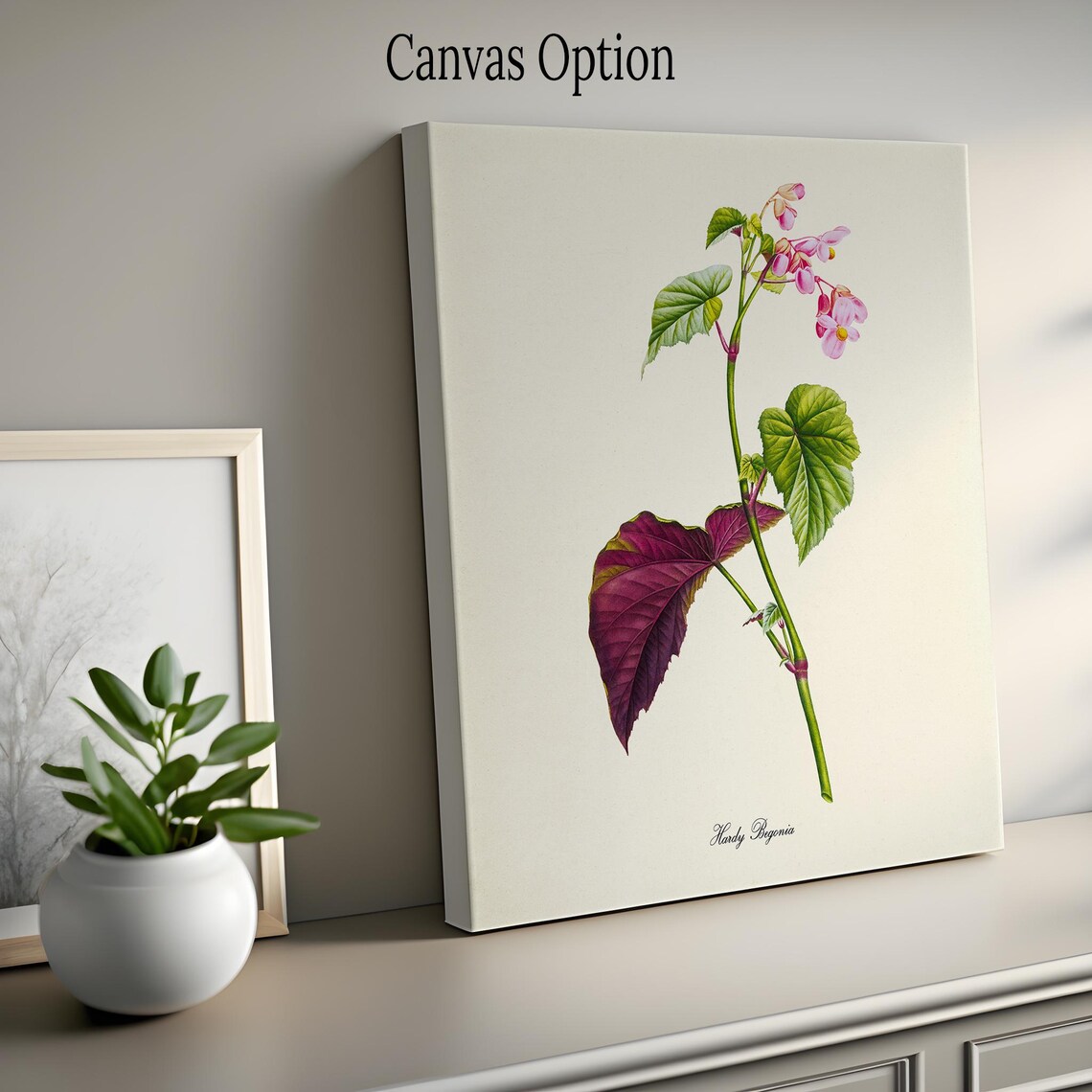 Hardy Begonia Flower Botanical Wall Art Print - Image 2