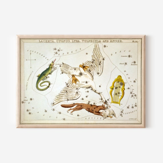 Sidney Hall Uranias Mirror Lacerta Cygnus Lyra Vulpecula And Answer 1825 Painting Photo Poster Print Art Gift Constellation Zodiac
