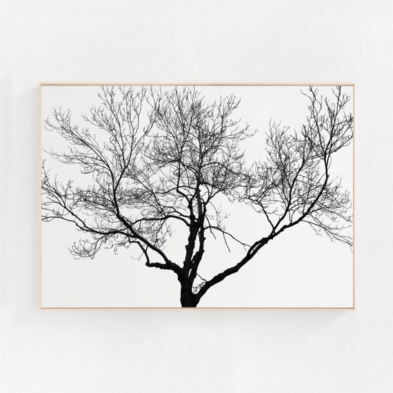 Minimalist Tree Art Print, Nature Landscape