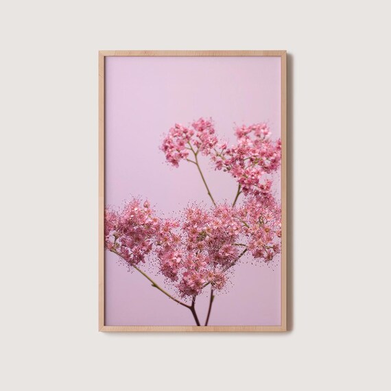 Delicate Pink Blossom Branches On A Soft Blush Background Poster