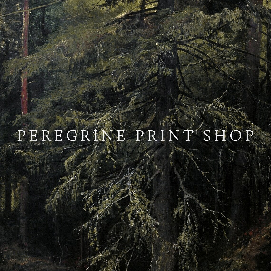 Withering Pine Moody Forest, Dark Forest Art Print - Image 2
