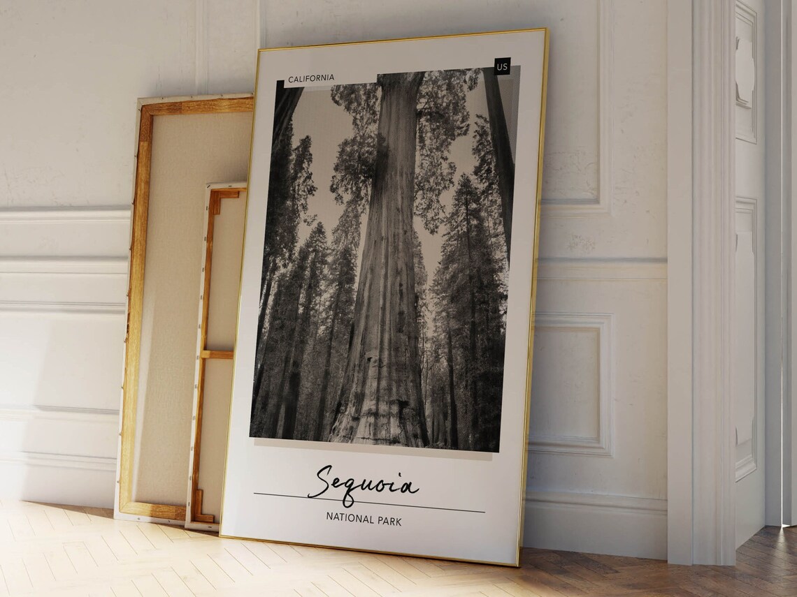Sequoia National Park Black And White Redwoods Forest Photo Poster - Image 2