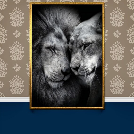 Lion Couple Nuzzling Tenderly In Intimate Monochrome Portrait Poster