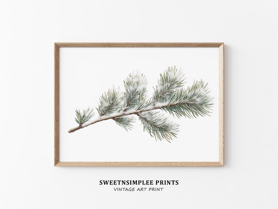 Snowy Pine Branch Poster Minimalist Winter Botanical Still Life Art