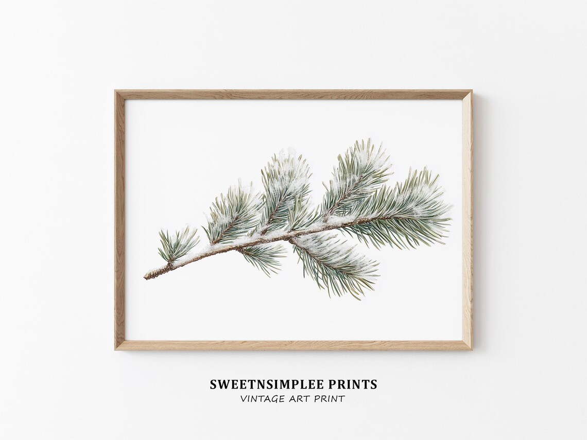 Snowy Pine Branch Poster Minimalist Winter Botanical Still Life Art