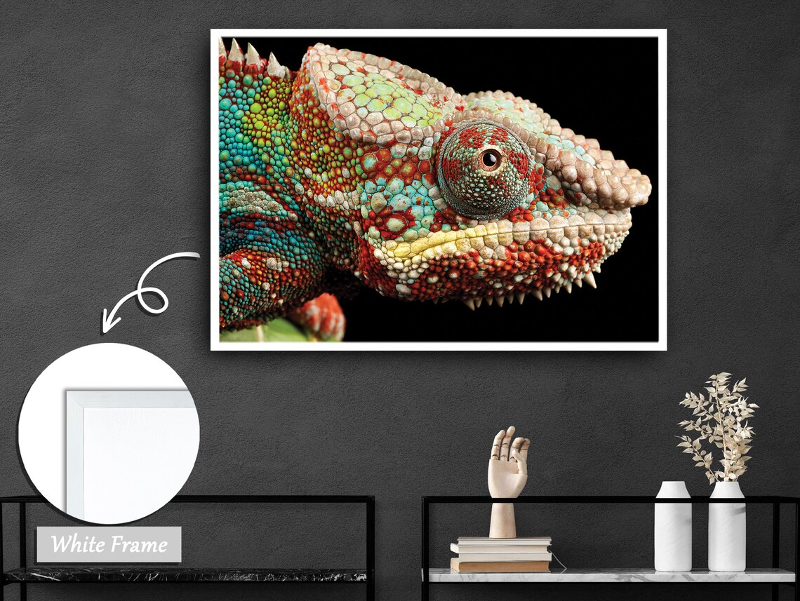 Vivid Chameleon, Detailed Wildlife Reptile Art Print - Image 3