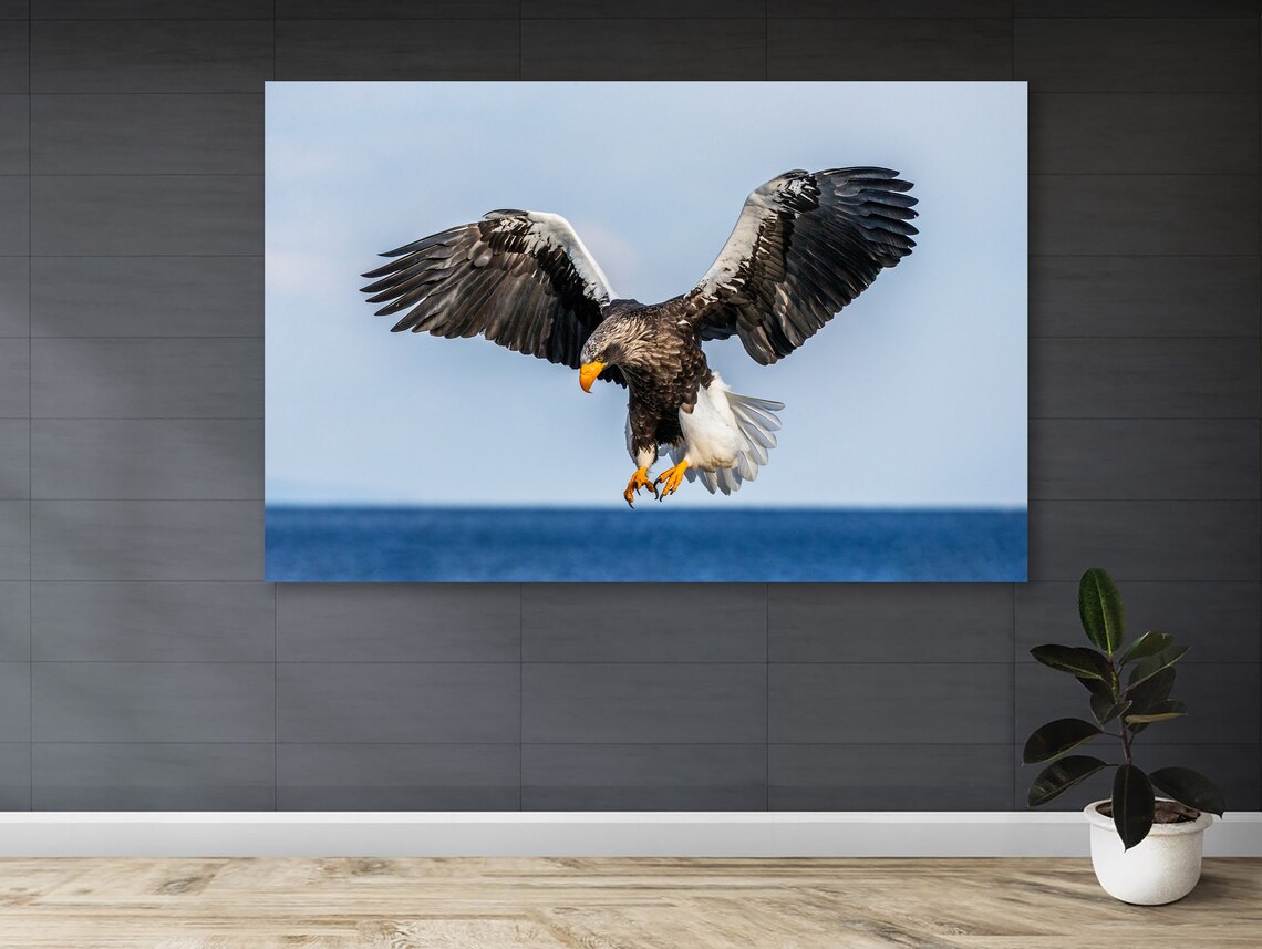 Majestic Bird Flight, Freedom Symbol Wall Art Print - Image 3