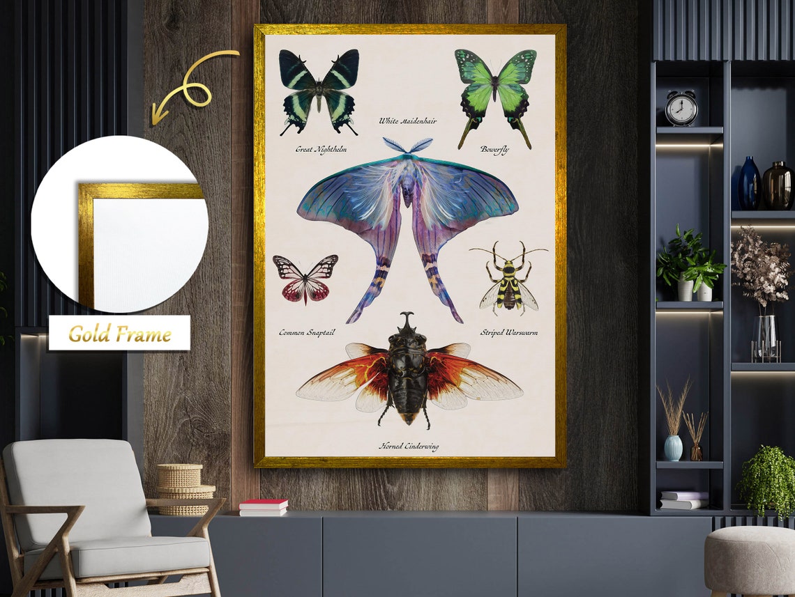 Butterfly Art, Modern Insect Decor