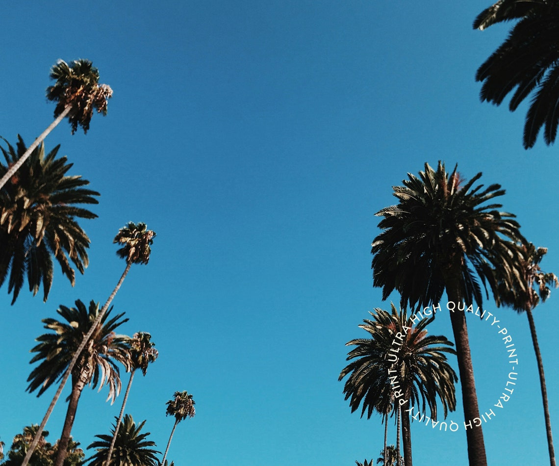 Los Angeles California Palm Trees Blue Sky Vintage Travel Poster - Image 5
