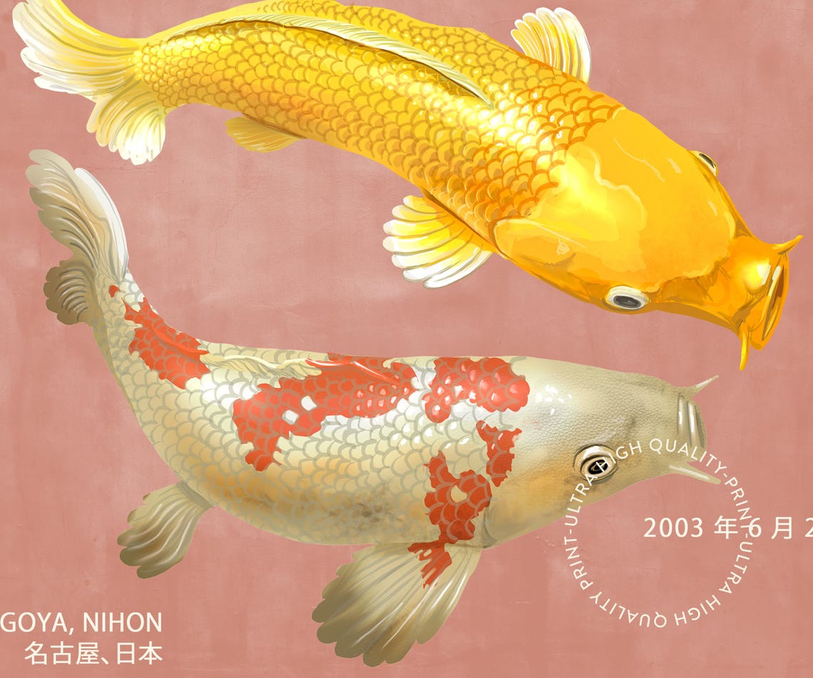 Sakana Koi Fish Japanese Retro Poster Pink Nagoya Nihon Art Print - Image 5