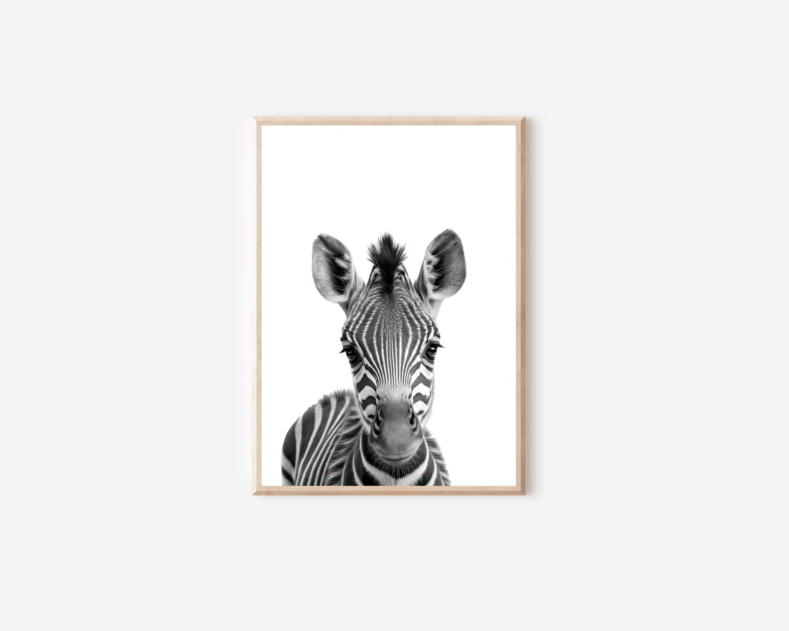 Black And White Baby Zebra Front Facing Portrait Nursery Wall Art - Image 4