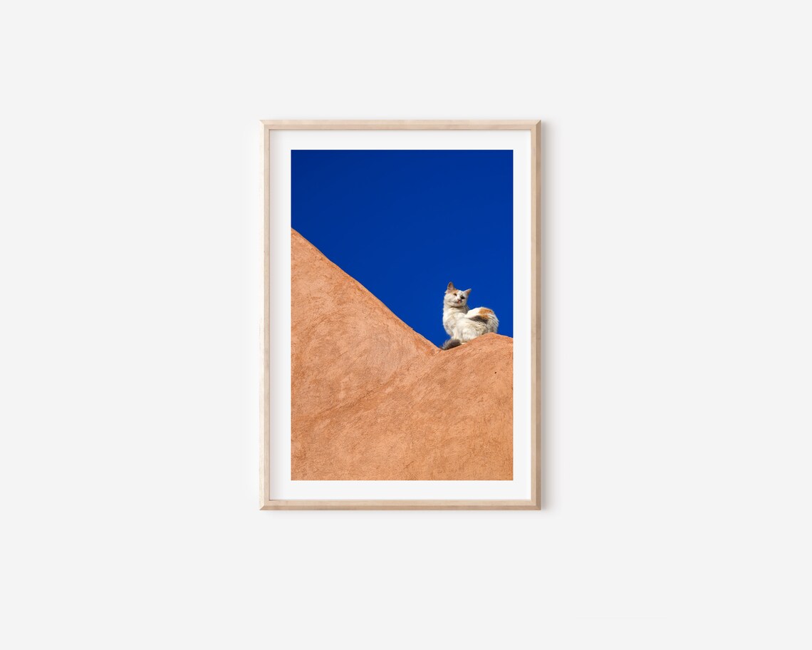 Stray White Cat On Terracotta Wall Against Blue Sky Photo Wall Art - Image 4