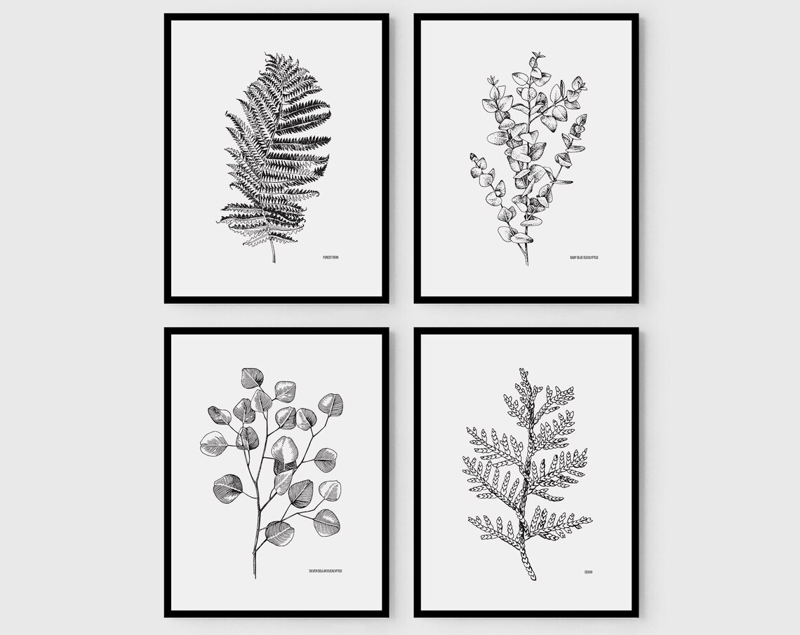 Botanical Eucalyptus Print, Monochrome Botanical Illustration - Image 2