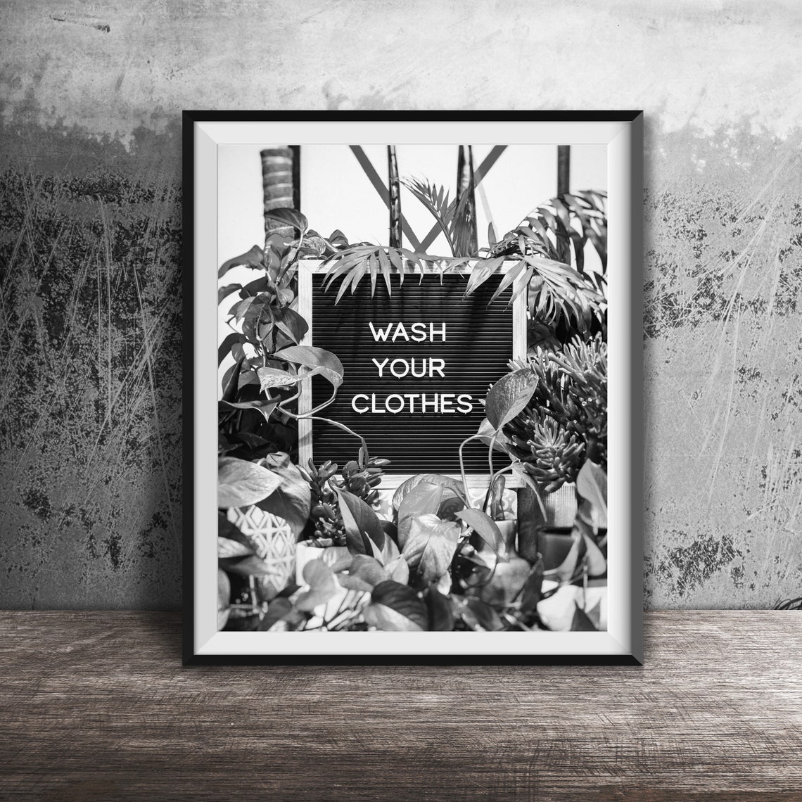 Wash Your Clothes Letter Board With Houseplants Photo Poster - Image 2